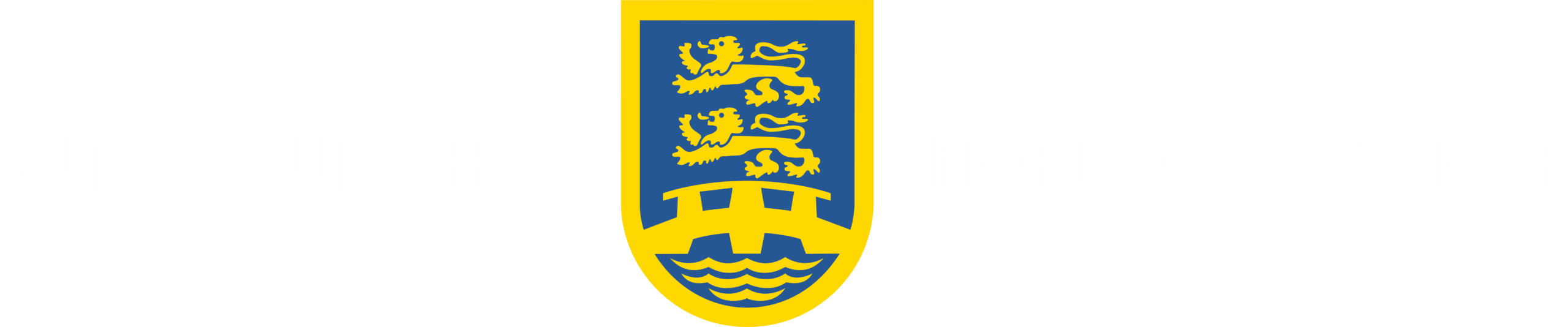 BDN_CMYK_weisser-Text