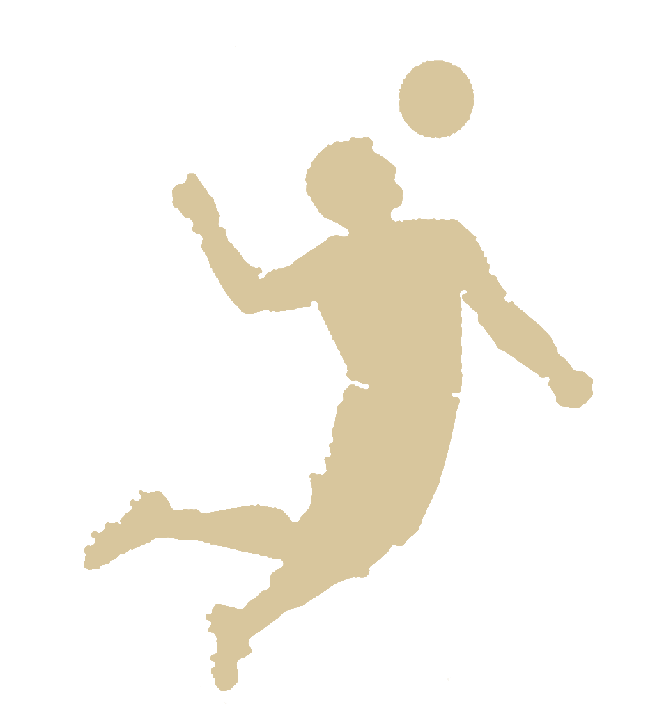 Qualified Team